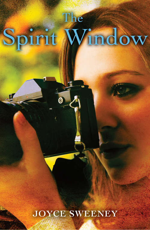 Book cover of The Spirit Window (Digital Original)