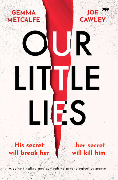 Book cover of Our Little Lies