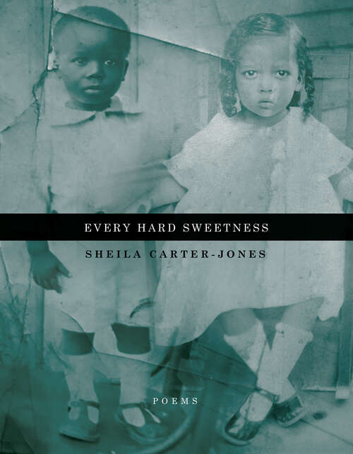 Book cover of Every Hard Sweetness