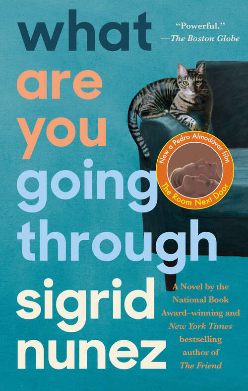 Book cover of What Are You Going Through: A Novel