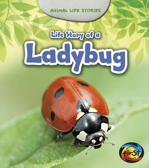 Book cover of Life Story of a Ladybug (Animal Life Stories Ser.)
