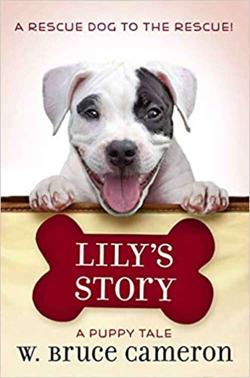 Book cover of Lily's Story: A Puppy Tale (Puppy Tale)