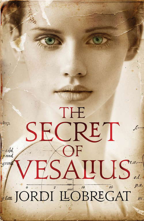 Book cover of The Secret of Vesalius