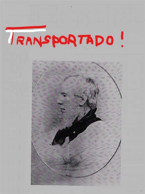 Book cover of Transportado