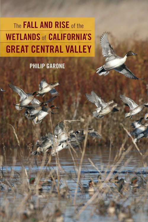 Book cover of The Fall and Rise of the Wetlands of California's Great Central Valley