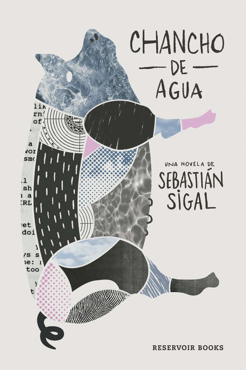 Book cover of Chancho de Agua