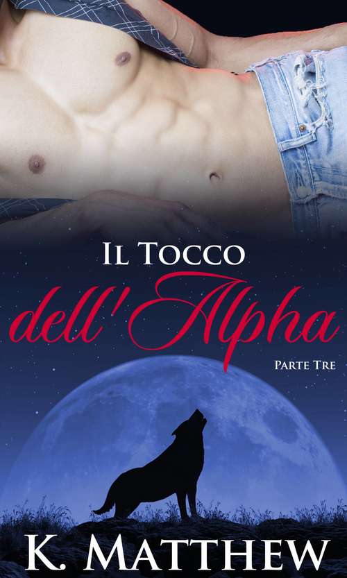 Book cover of Il Tocco dell'Alpha: Parte Terza