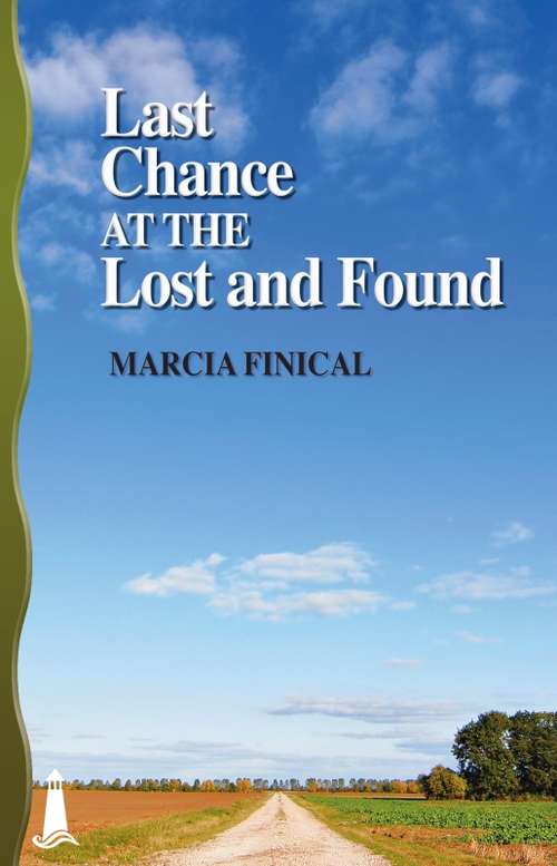 Book cover of Last Chance at the Lost and Found