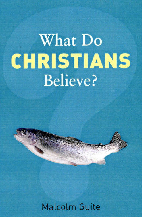 Book cover of What Do Christians Believe?: Belonging and Belief in Modern Christianity (What Do We Believe? Ser.)