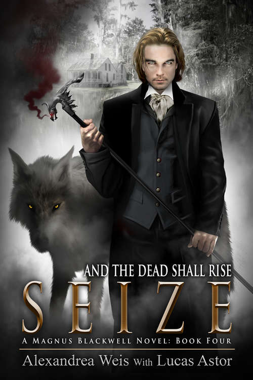 Book cover of Seize (A Magnus Blackwell Novel)