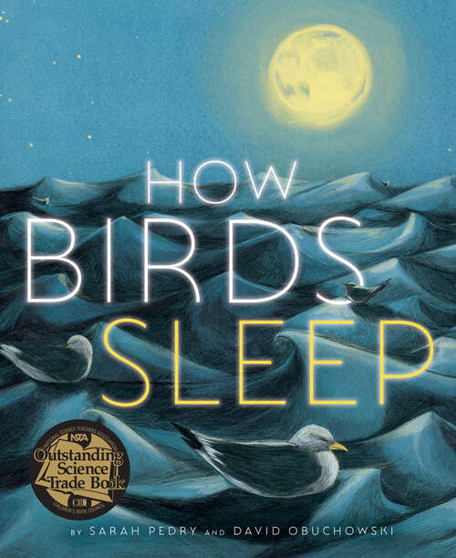 Book cover of How Birds Sleep