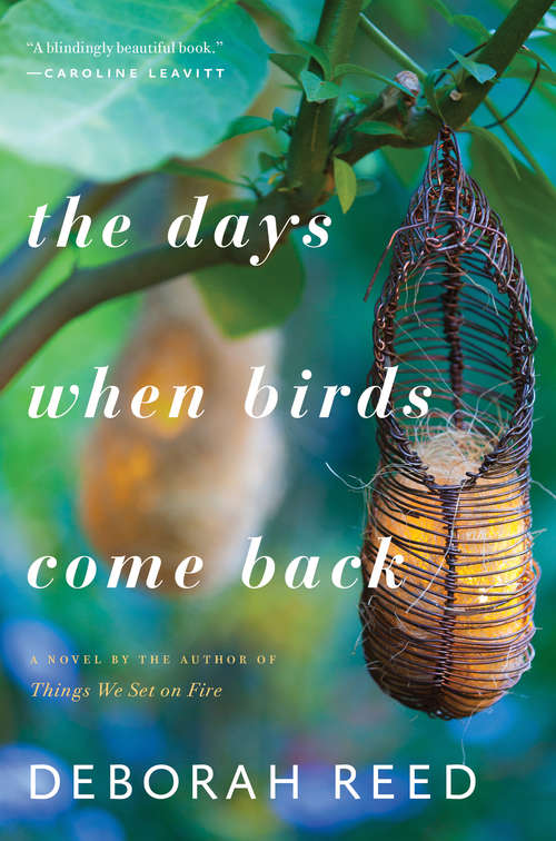 Book cover of The Days When Birds Come Back: A Novel