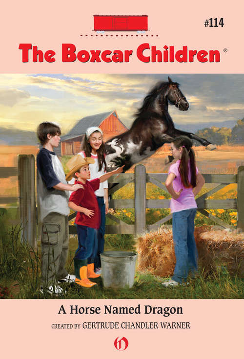 Book cover of A Horse Named Dragon (Boxcar Children #114)