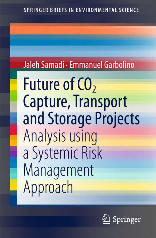 Book cover of Future of CO2 Capture, Transport and Storage Projects: Analysis Using A Systemic Risk Management Approach (SpringerBriefs in Environmental Science)