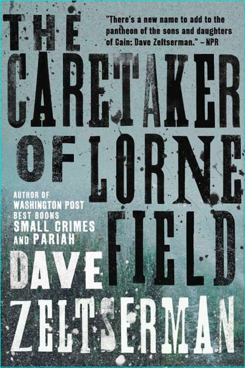 Book cover of The Caretaker of Lorne Field: A Novel