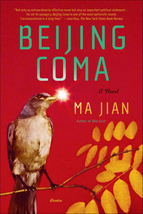 Book cover of Beijing Coma: A Novel