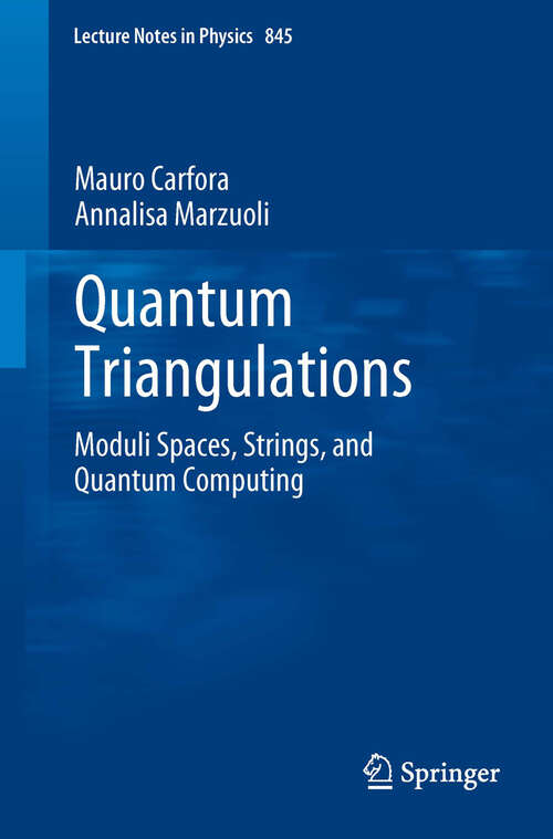 Book cover of Quantum Triangulations