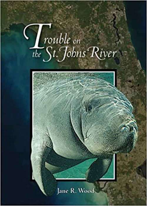 Book cover of Trouble On The St. Johns River