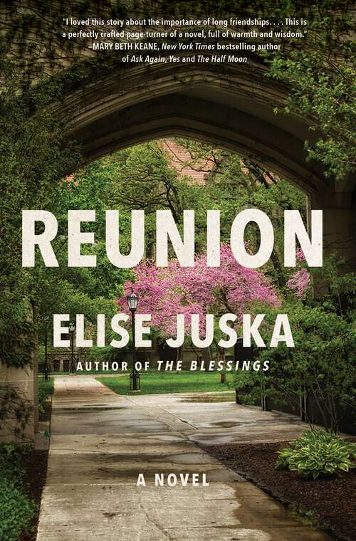 Book cover of Reunion: A Novel
