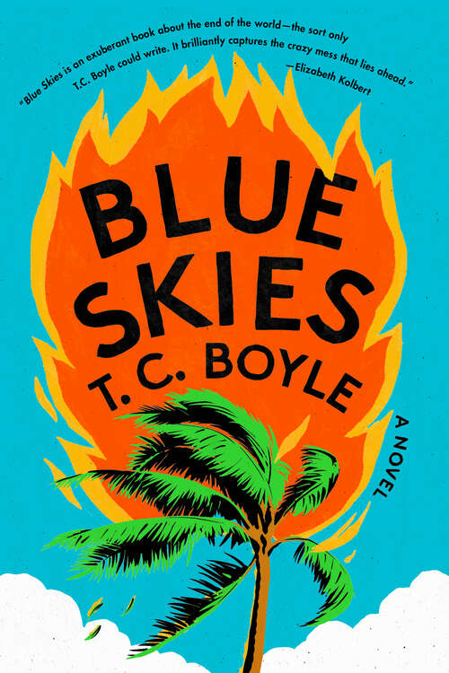 Book cover of Blue Skies: A Novel