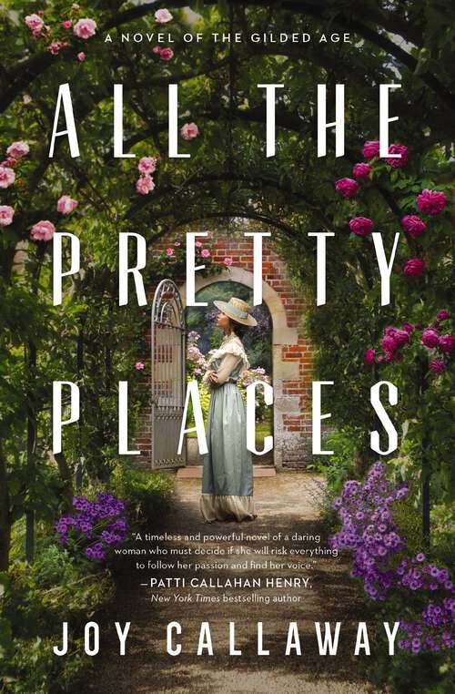 Book cover of All the Pretty Places: A Novel of the Gilded Age