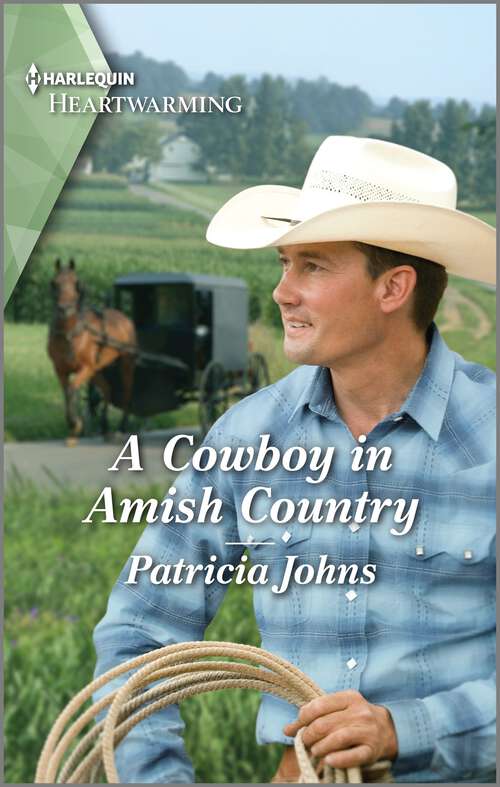 Book cover of A Cowboy in Amish Country: A Clean Romance (Amish Country Haven #2)