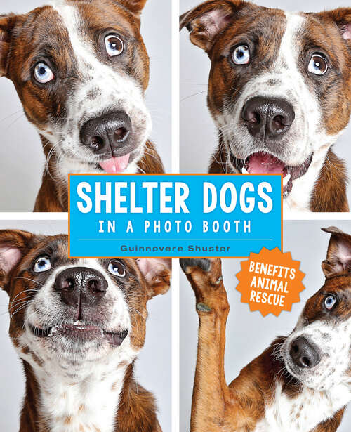 Book cover of Shelter Dogs in a Photo Booth