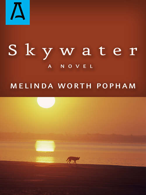 Book cover of Skywater