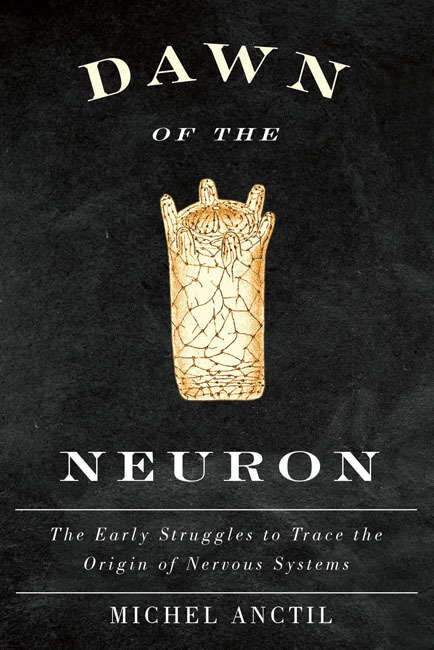 Book cover of Dawn of the Neuron: The Early Struggles to Trace the Origin of Nervous Systems