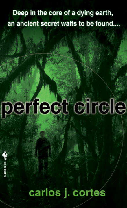 Book cover of Perfect Circle