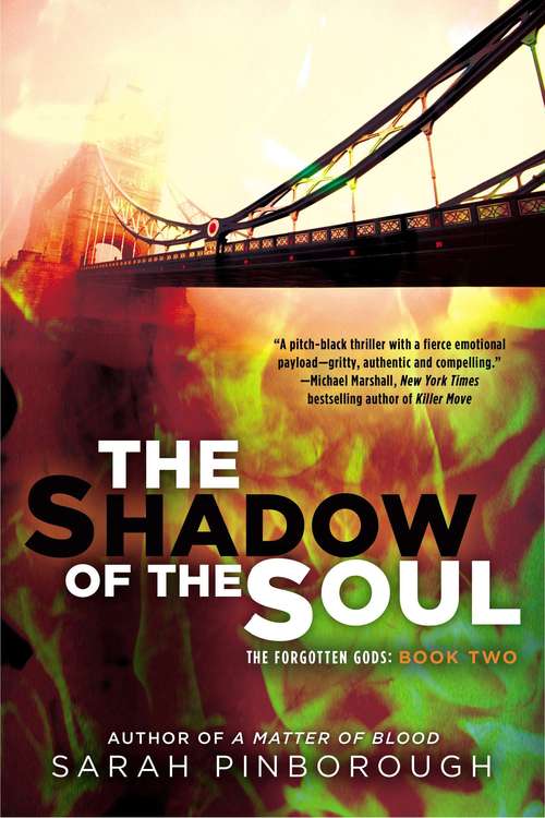 Book cover of The Shadow of the Soul