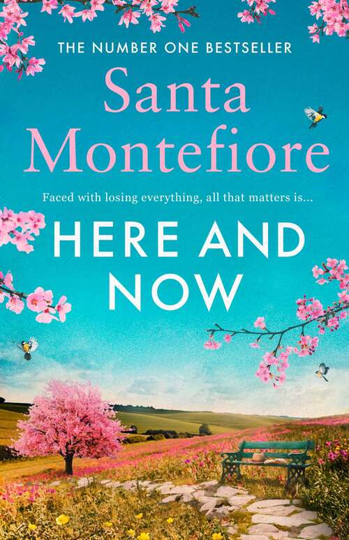Book cover of Here and Now: Evocative, emotional and full of life, the most moving book you'll read this year