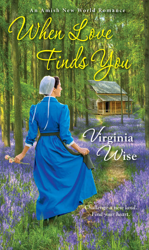 Book cover of When Love Finds You (Amish New World #2)