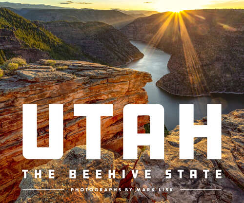 Book cover of Utah: The Beehive State