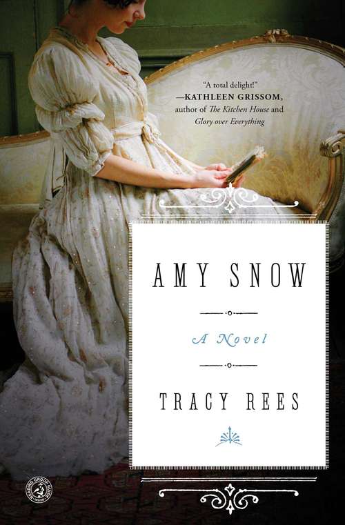 Book cover of Amy Snow: A Novel