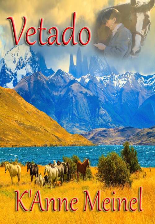 Book cover of Vetado