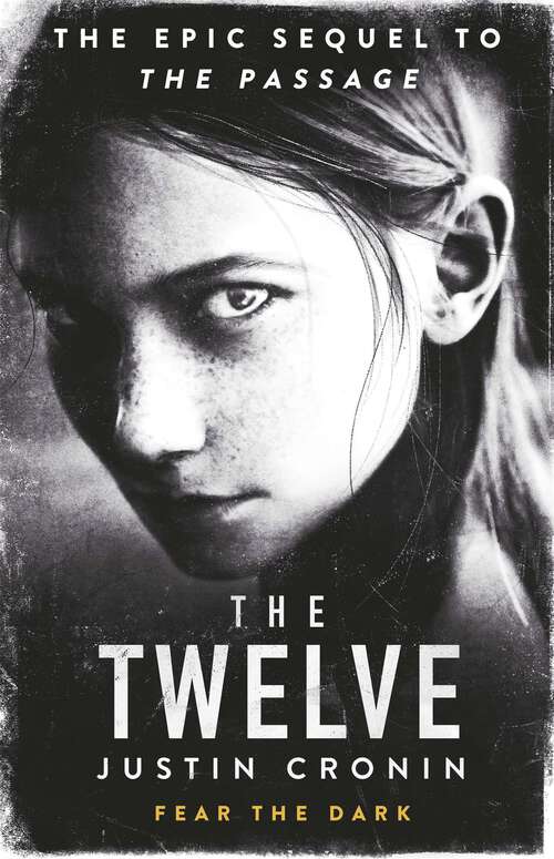 Book cover of The Twelve: ‘Will stand as one of the great achievements in American fantasy fiction’ Stephen King