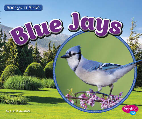 Book cover of Blue Jays (Backyard Birds Ser.)