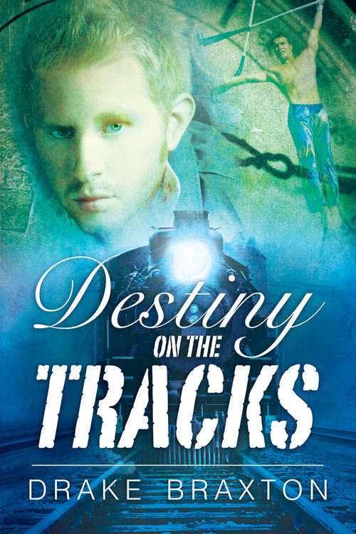 Book cover of Destiny on the Tracks