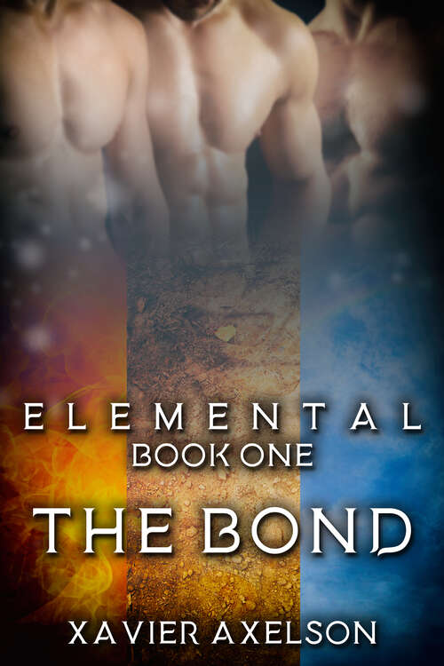 Book cover of The Bond
