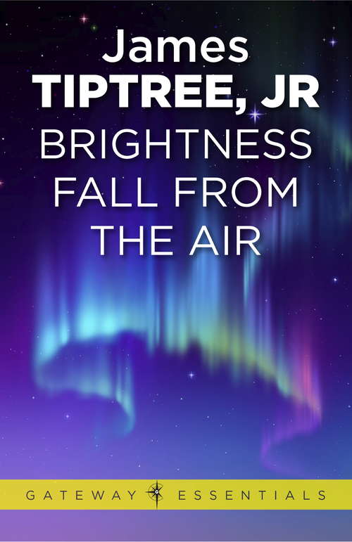 Book cover of Brightness Falls from the Air (Gateway Essentials #511)