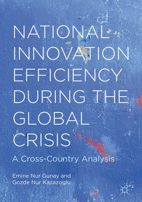 Book cover of National Innovation Efficiency During the Global Crisis