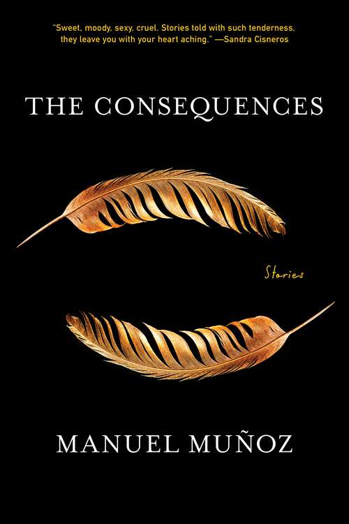 Book cover of The Consequences: Stories