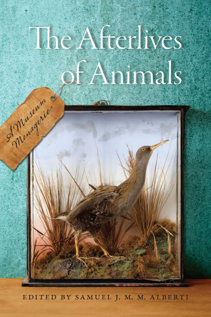 Book cover of The Afterlives of Animals: A Museum Menagerie