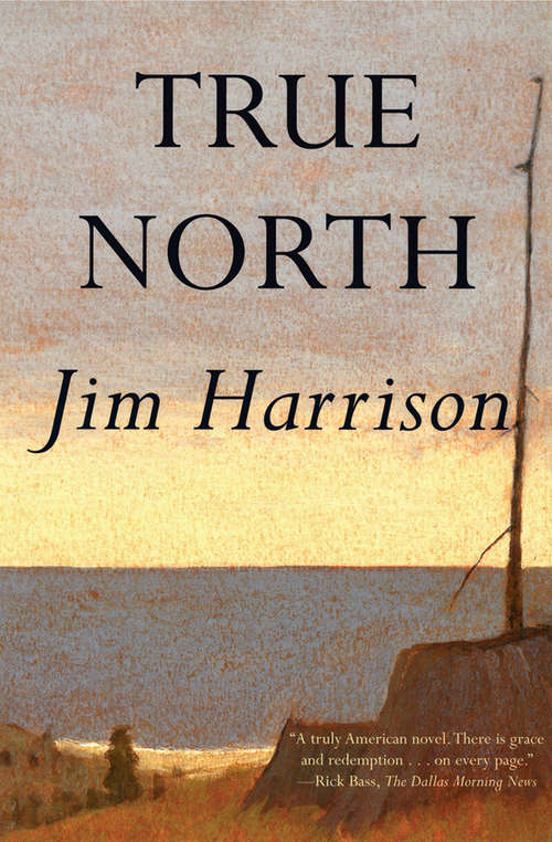 Book cover of True North