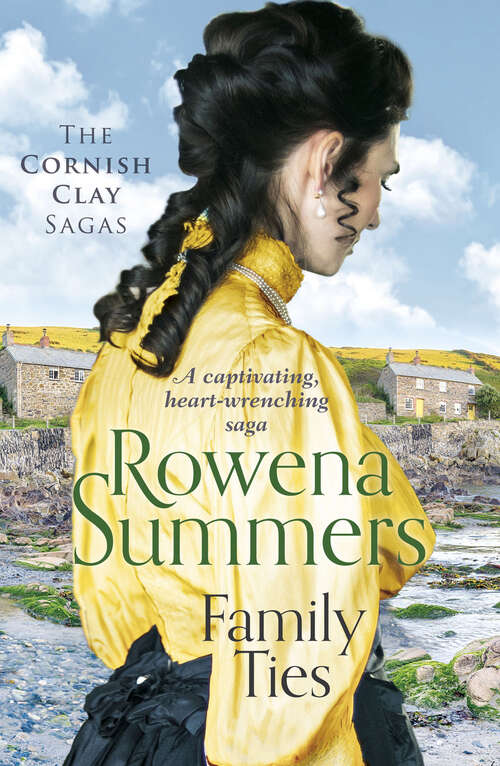 Book cover of Family Ties (The Cornish Clay Sagas)