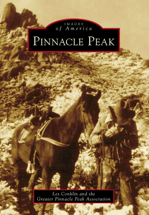 Book cover of Pinnacle Peak