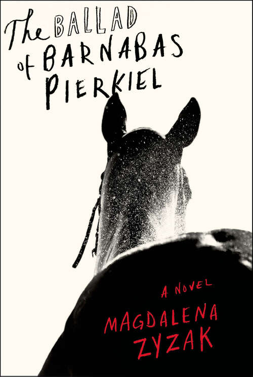 Book cover of The Ballad of Barnabas Pierkiel: A Novel