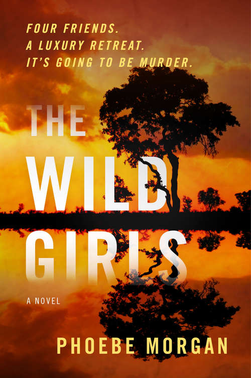 Book cover of The Wild Girls: A Novel