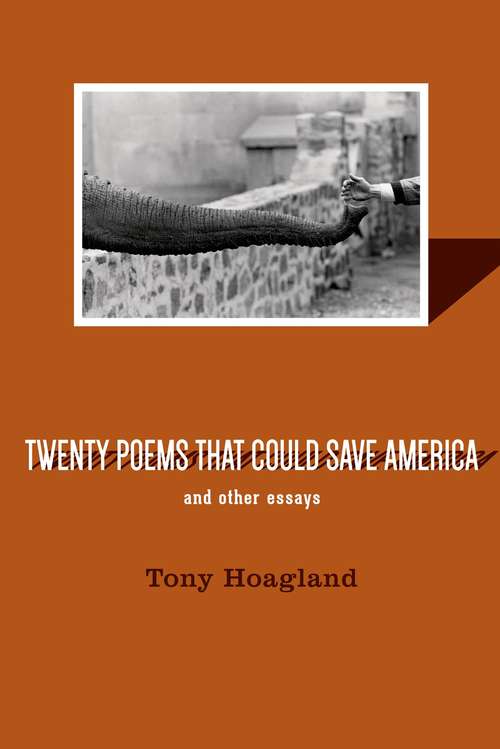 Book cover of Twenty Poems That Could Save America and Other Essays